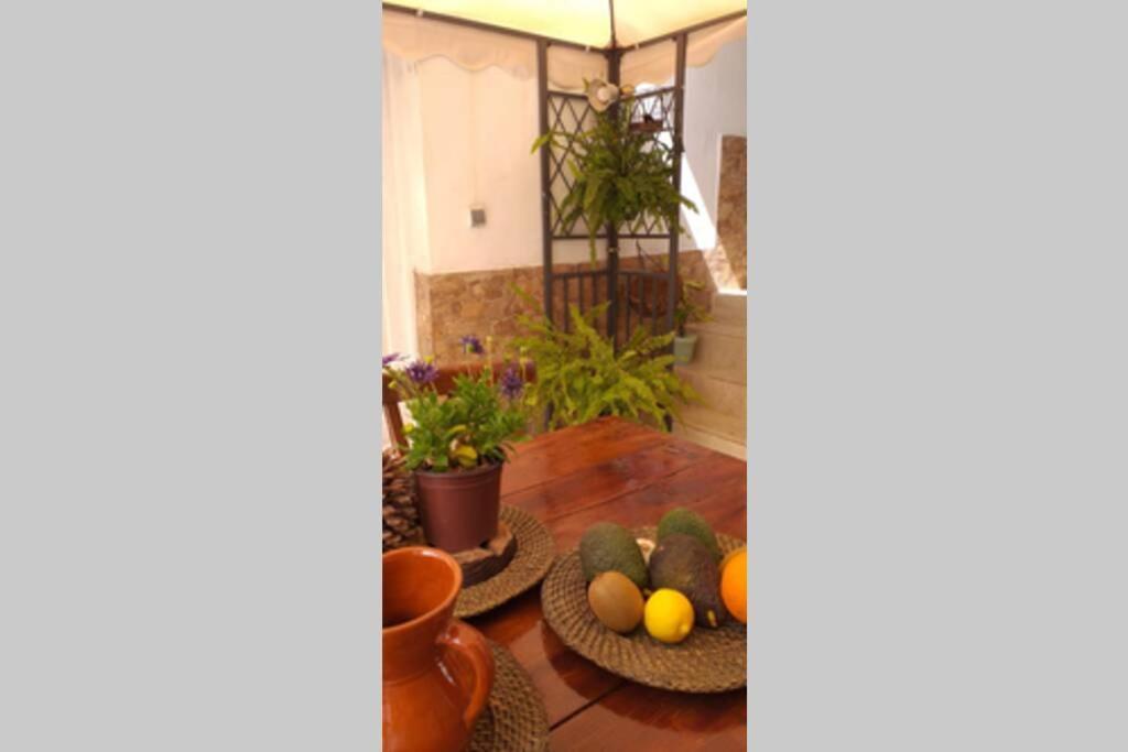 La Vega R. Apartman Vega de Rio de Palmas Kültér fotó